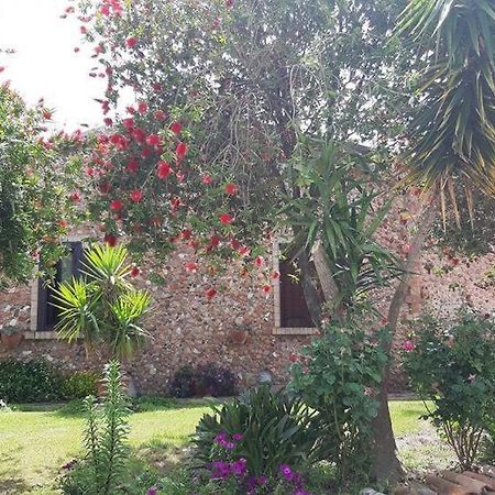 Agriturismo Pingitore Luzzi Екстер'єр фото