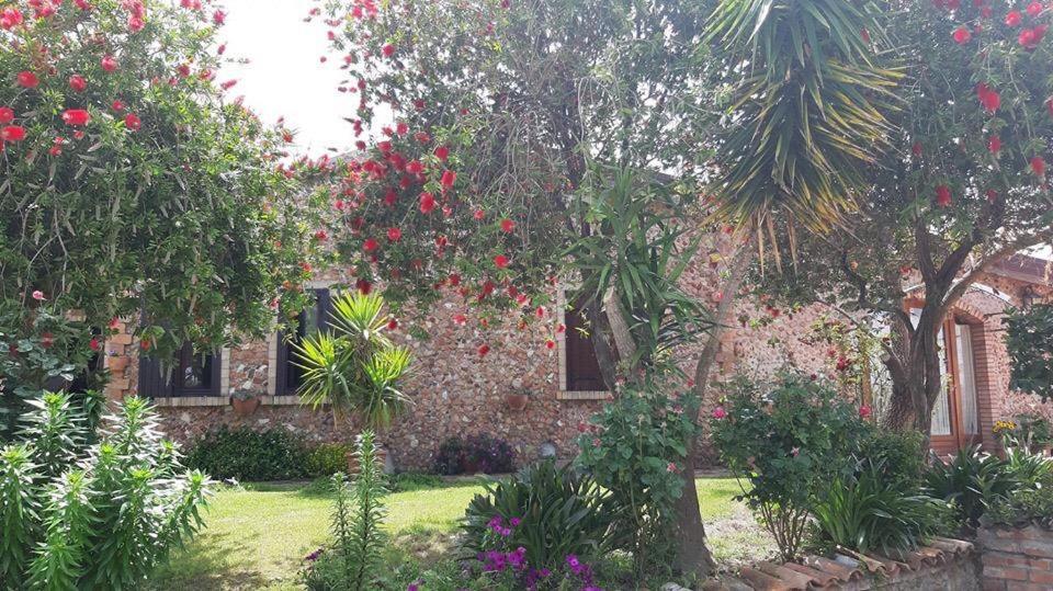Agriturismo Pingitore Luzzi Екстер'єр фото