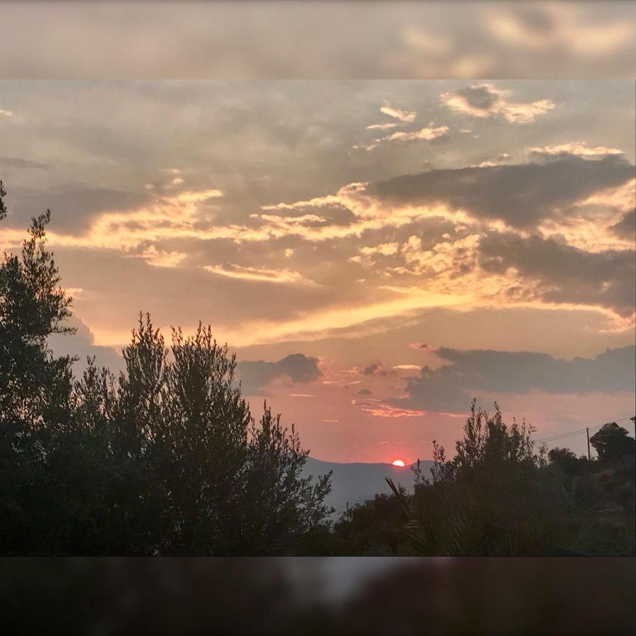 Agriturismo Pingitore Luzzi Екстер'єр фото