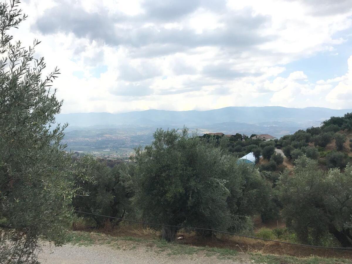Agriturismo Pingitore Luzzi Екстер'єр фото