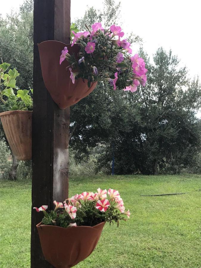 Agriturismo Pingitore Luzzi Екстер'єр фото