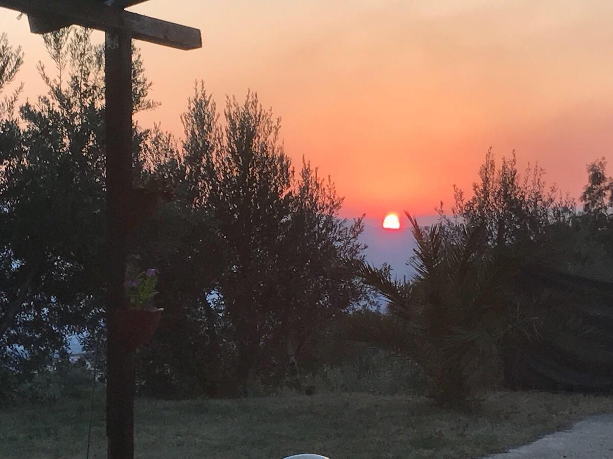 Agriturismo Pingitore Luzzi Екстер'єр фото