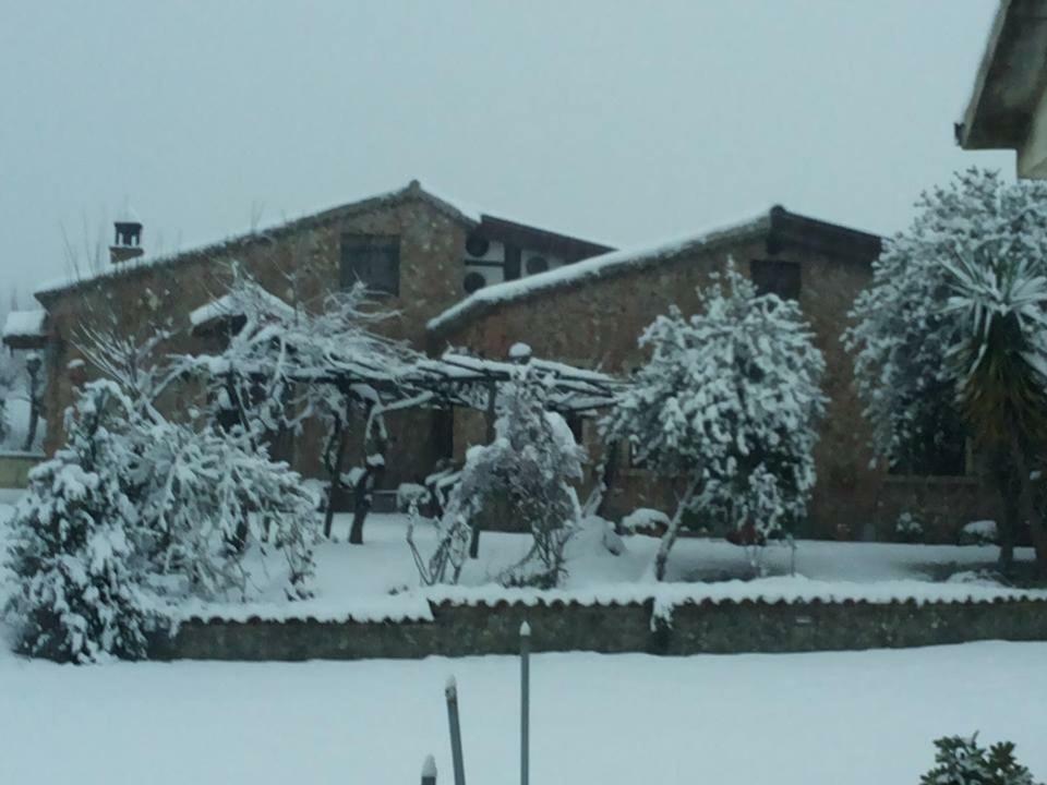 Agriturismo Pingitore Luzzi Екстер'єр фото
